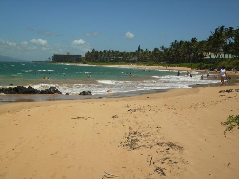 click for larger size