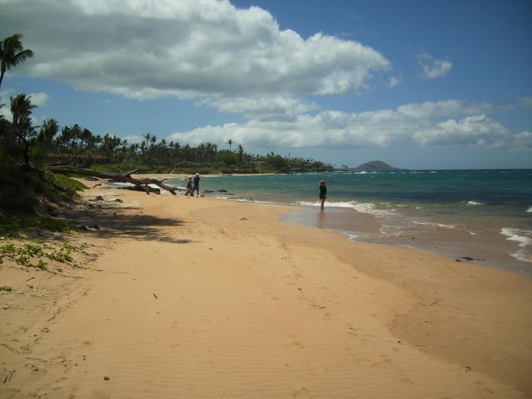 click for larger size