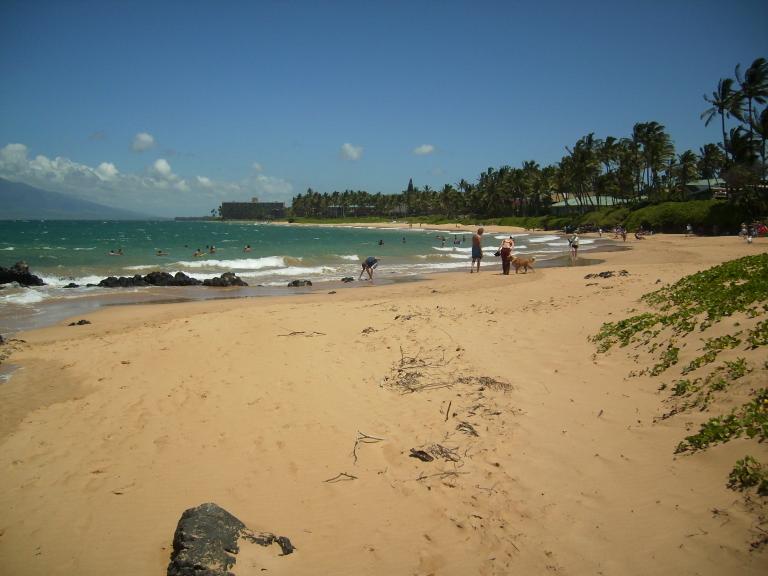 click for larger size