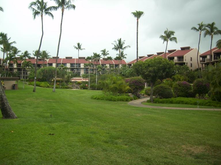 click for larger size