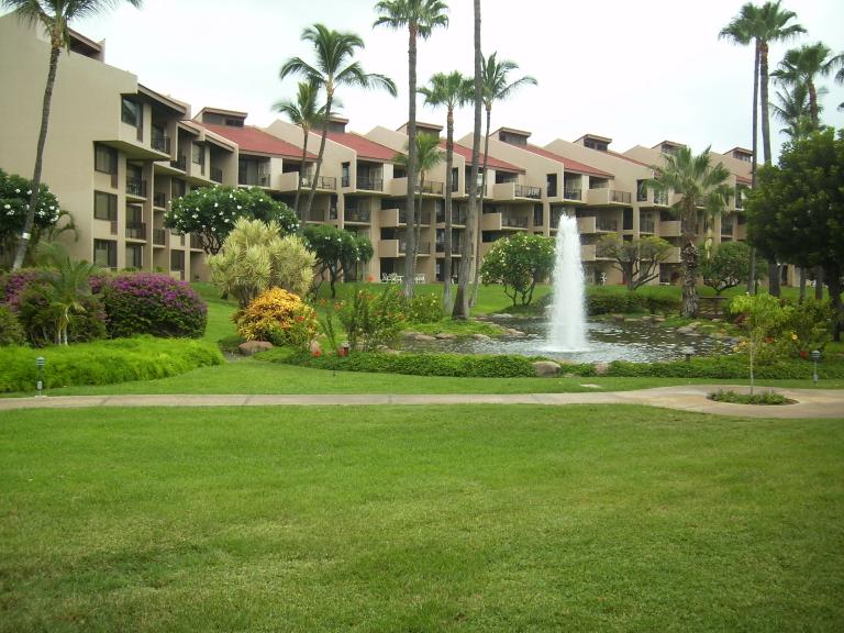 click for larger size