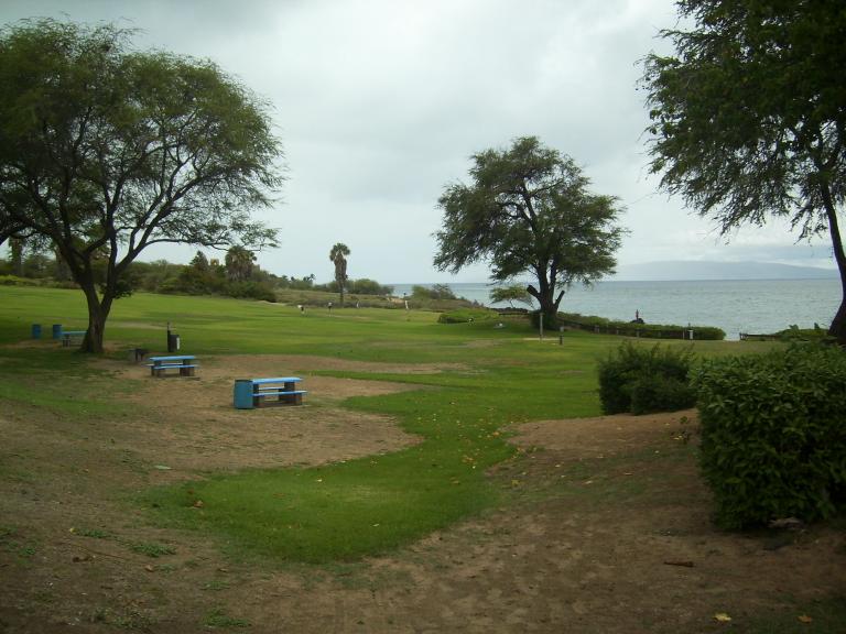 click for larger size