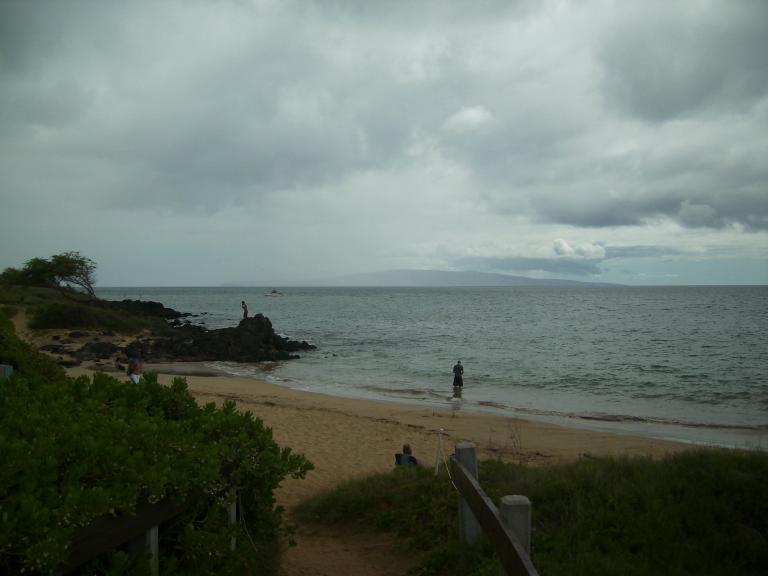 click for larger size