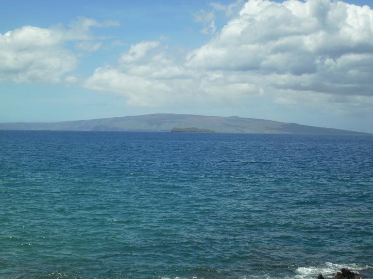 click for larger size