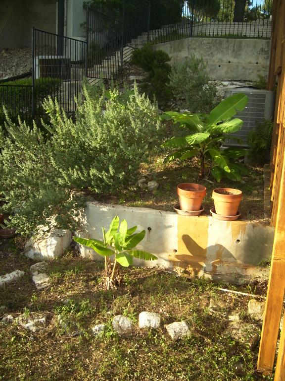 click for larger size