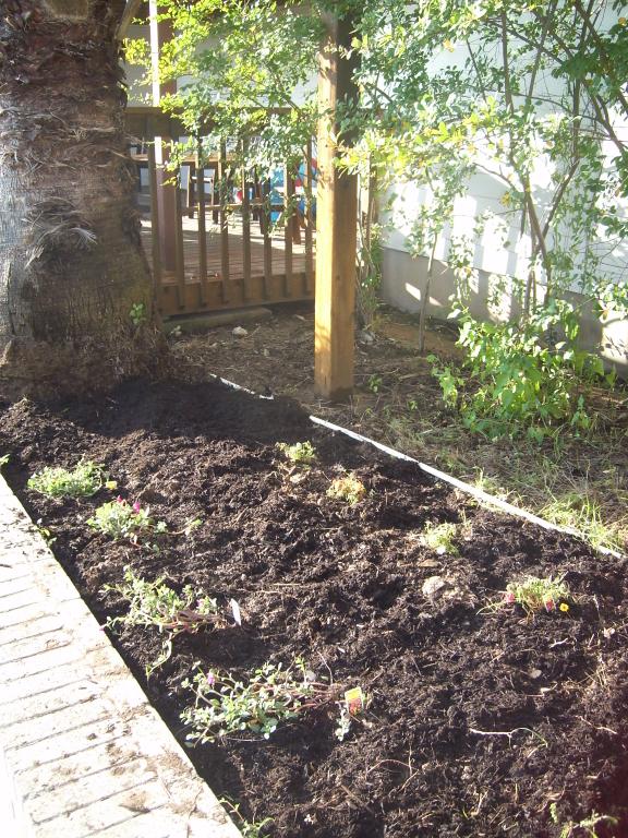 click for larger size