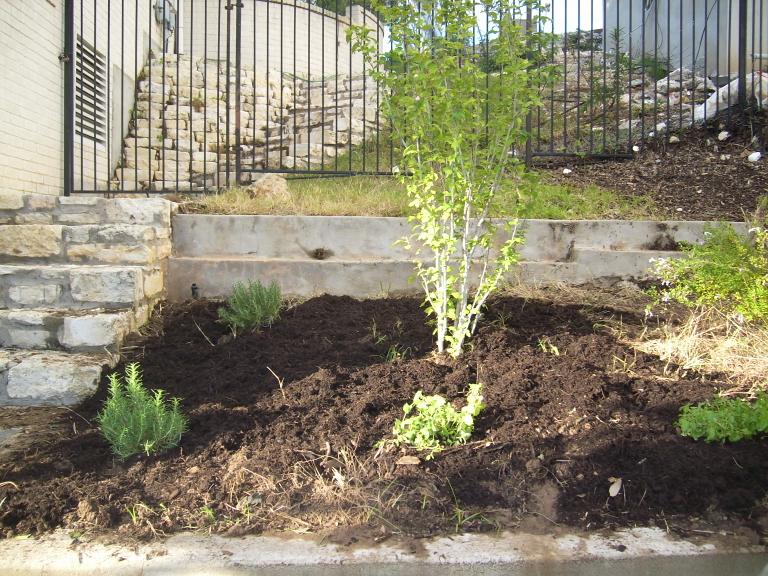 click for larger size