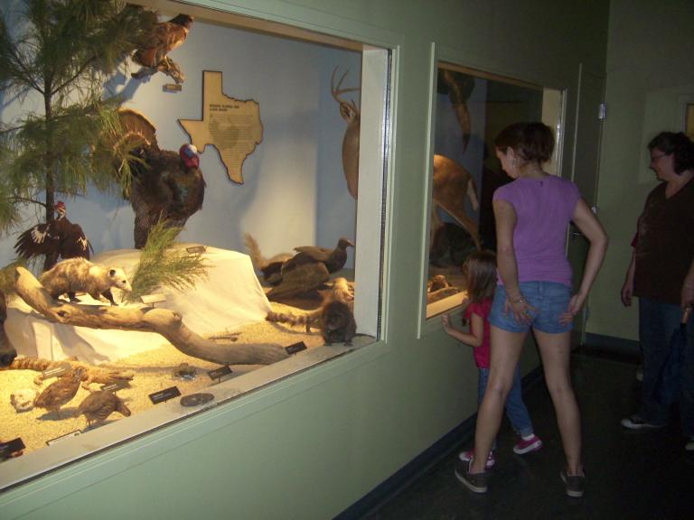 click for larger size