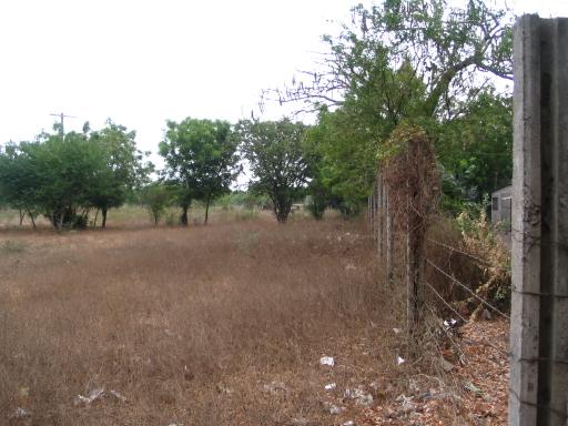 click for larger size