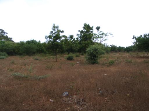 click for larger size