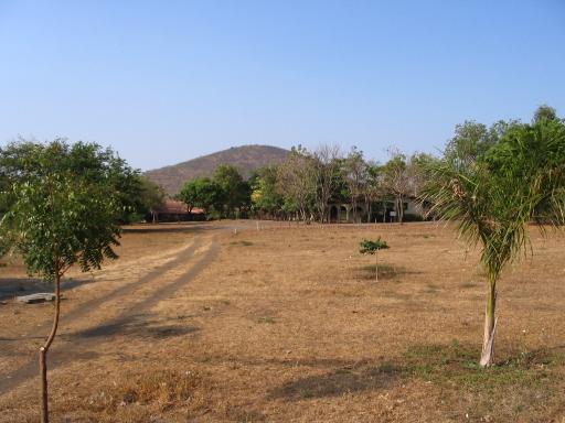 click for larger size