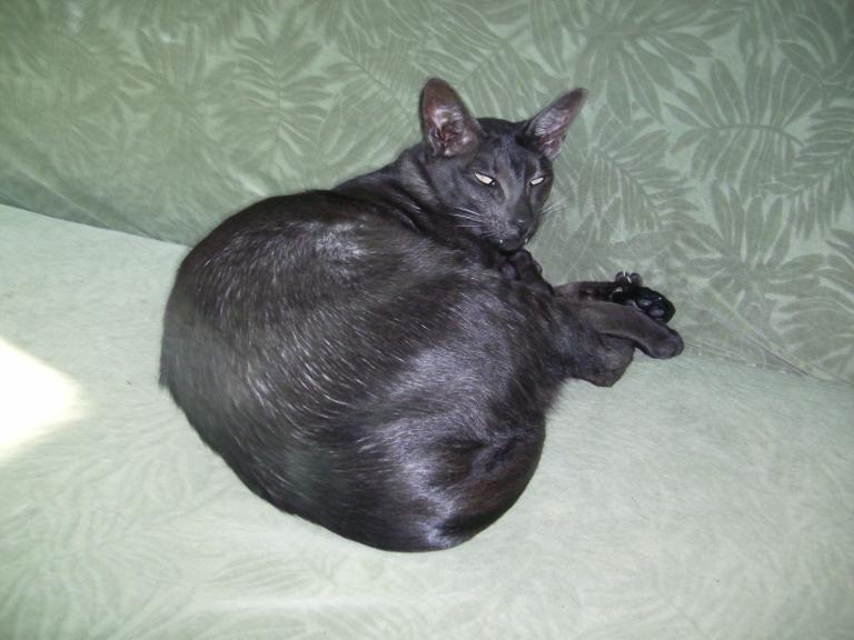 click for larger size