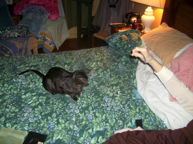 click for larger size