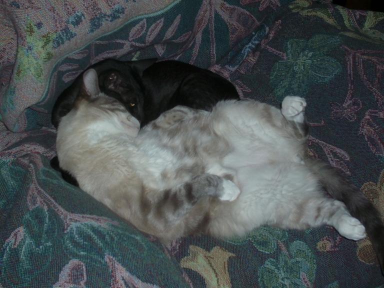 click for larger size