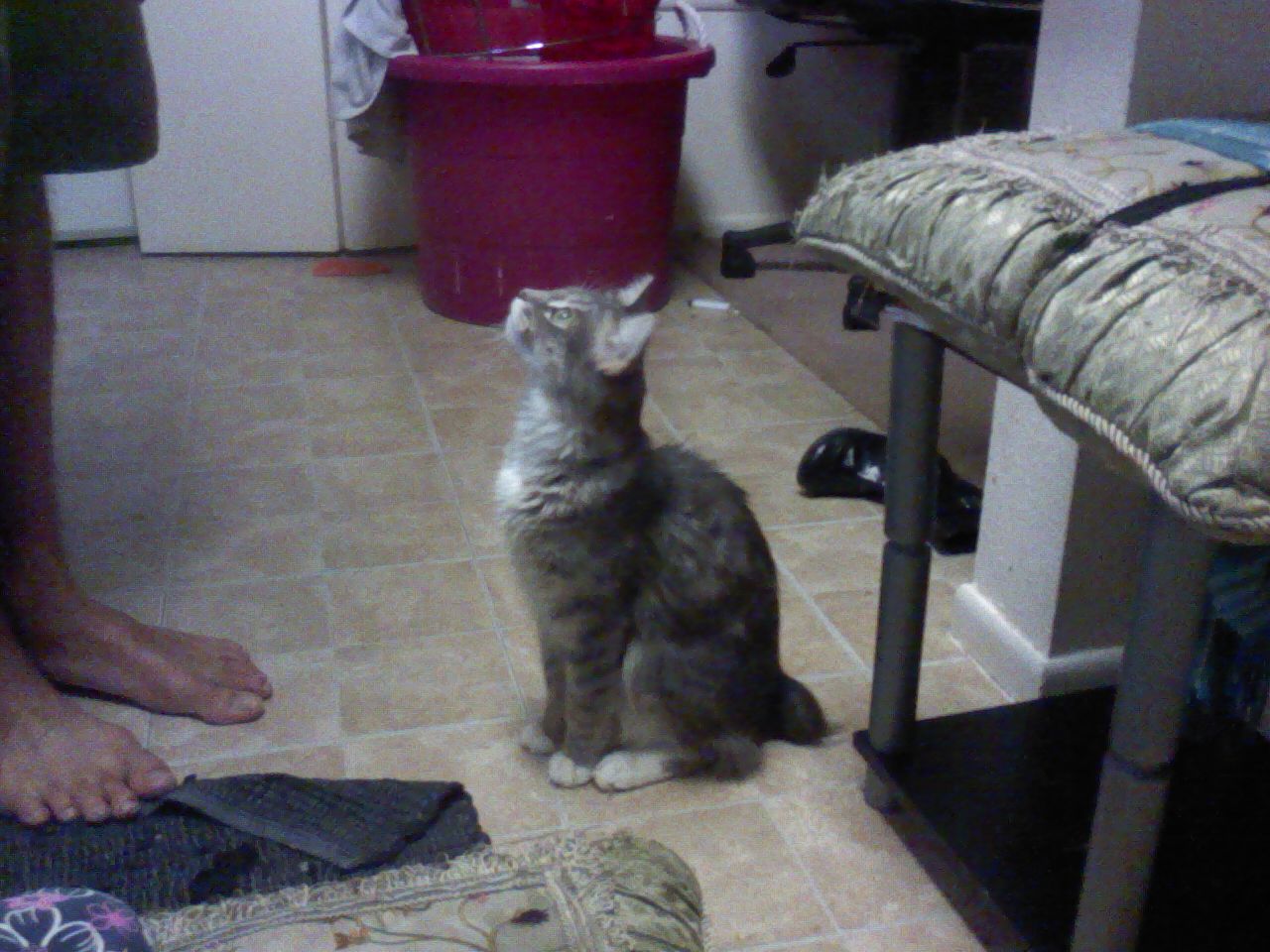 click for larger size