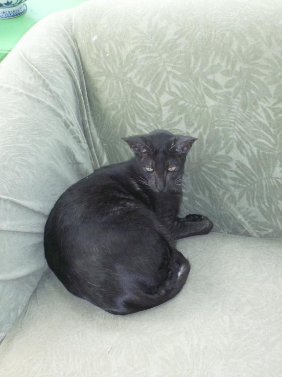 click for larger size