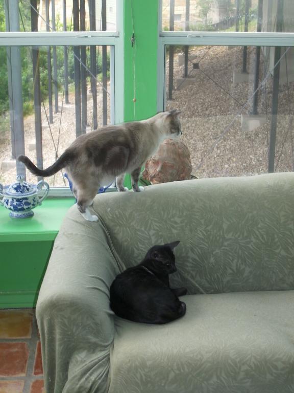 click for larger size