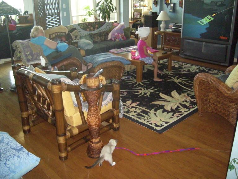 click for larger size