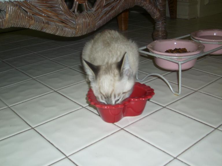 click for larger size