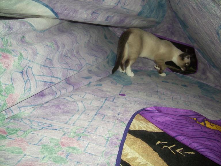 click for larger size