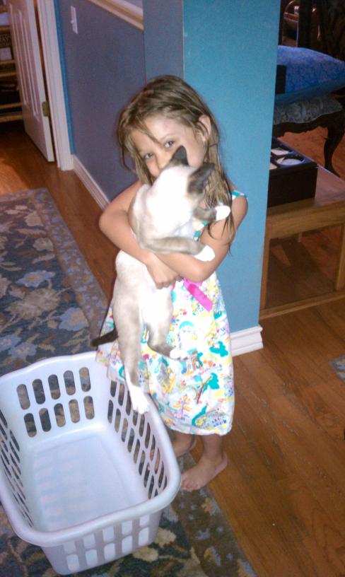 click for larger size