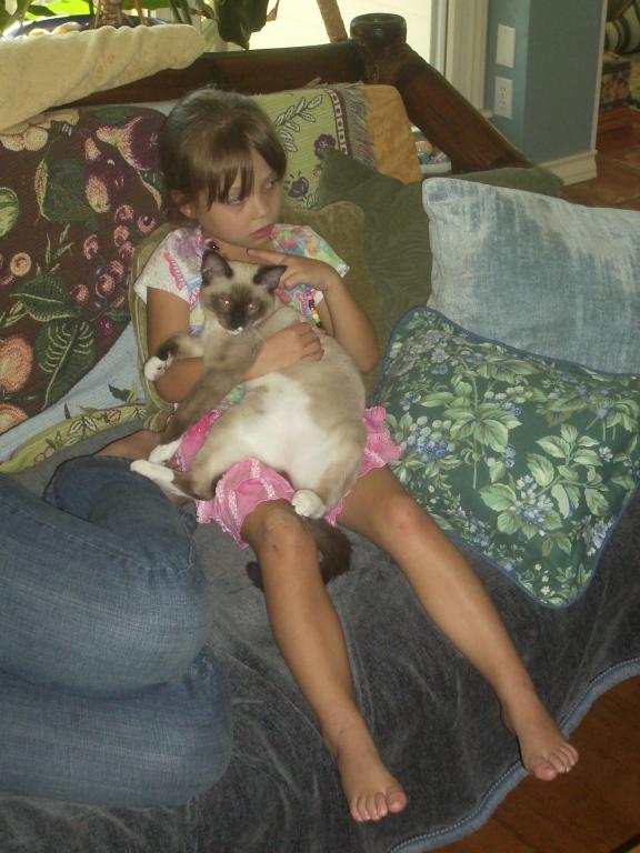 click for larger size