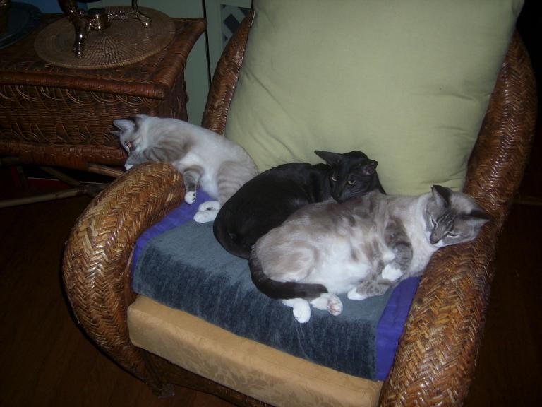 click for larger size