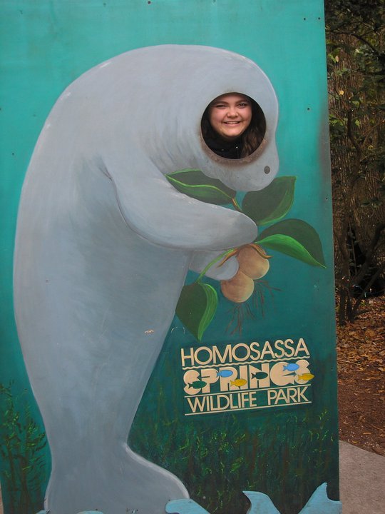 click for larger size