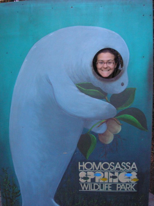 click for larger size