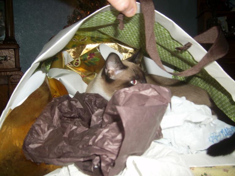 click for larger size