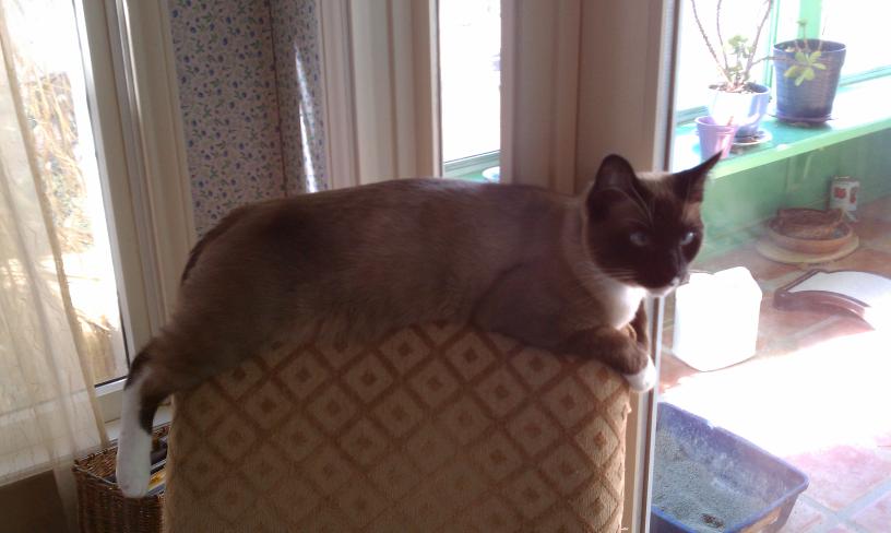 click for larger size