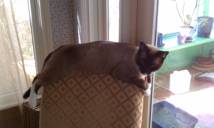 click for larger size