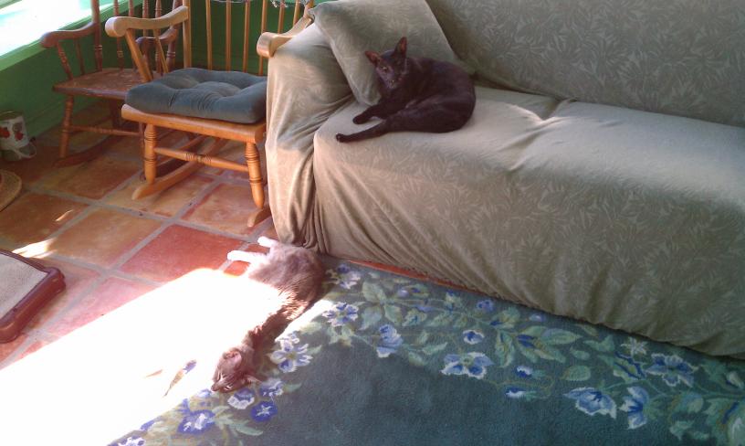 click for larger size