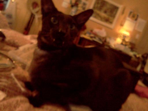 click for larger size