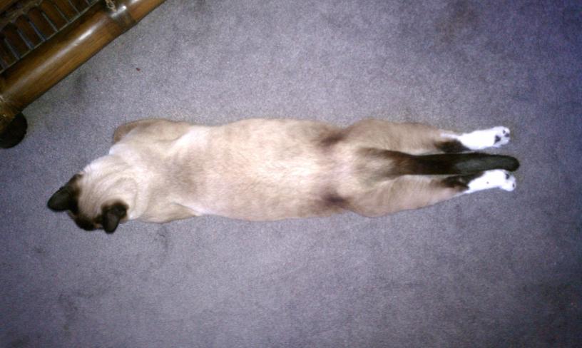 click for larger size