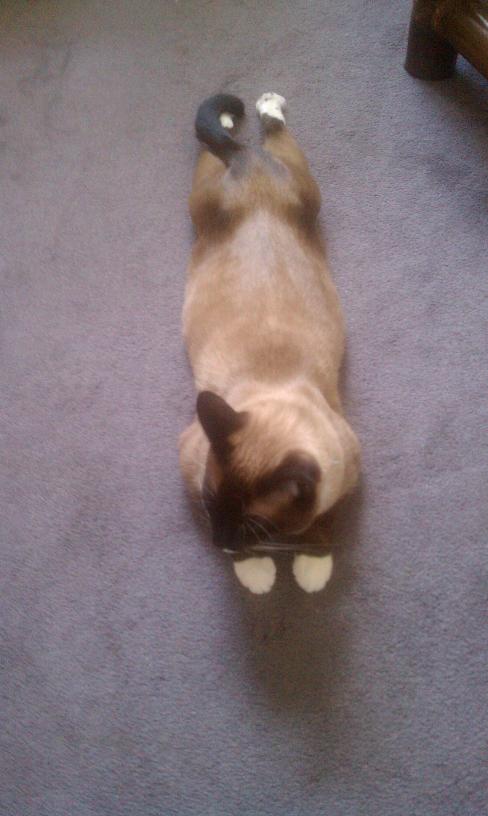 click for larger size