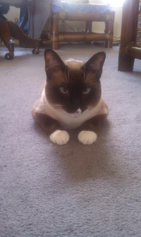 click for larger size