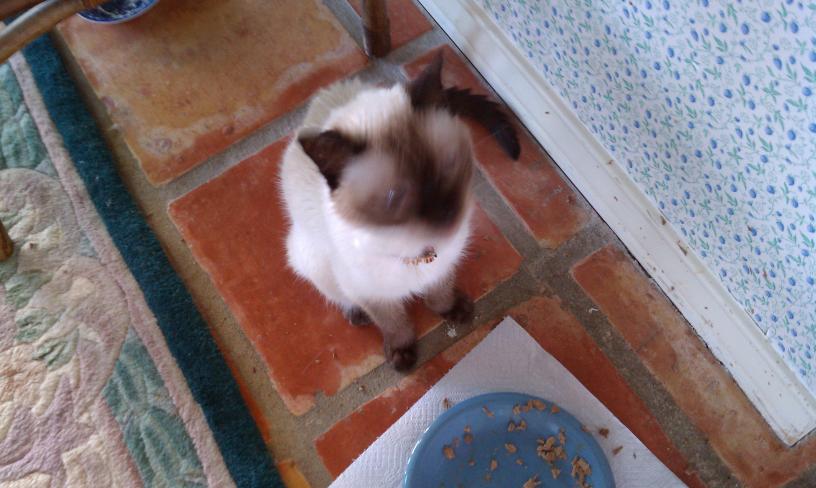 click for larger size