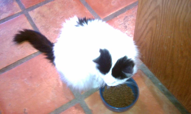 click for larger size