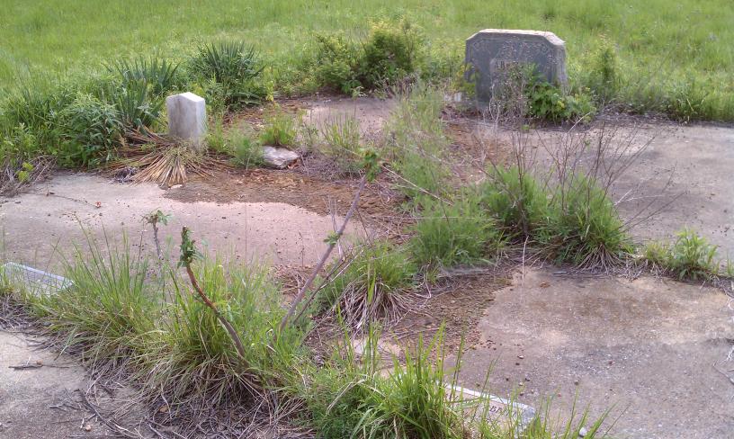 click for larger size