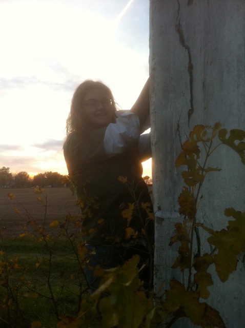 click for larger size