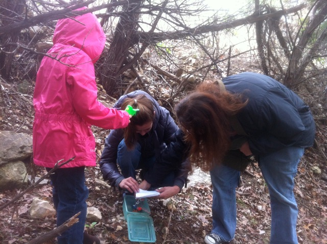 click for larger size