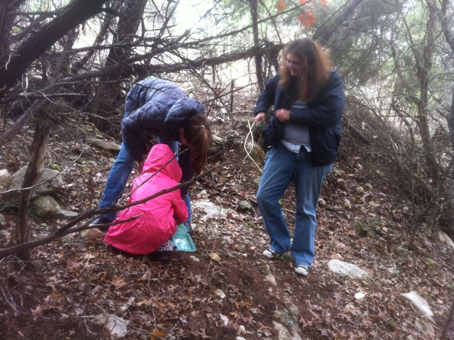 click for larger size