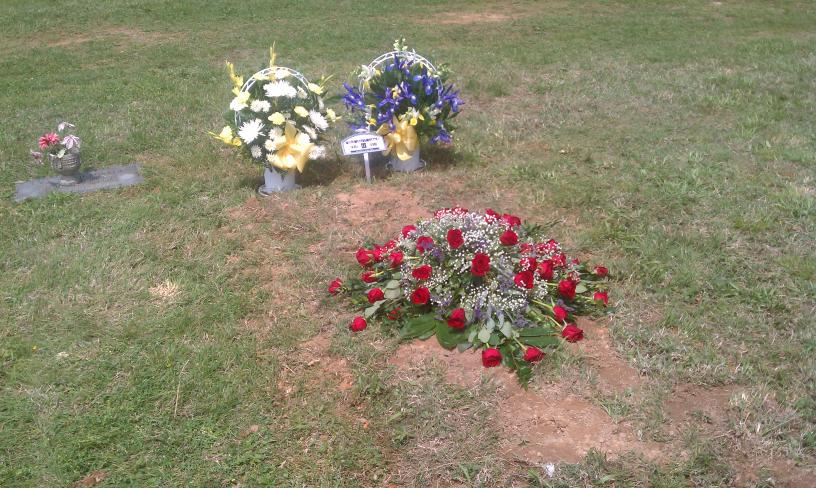 click for larger size