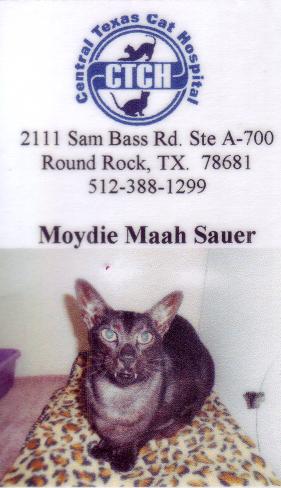 click for larger size