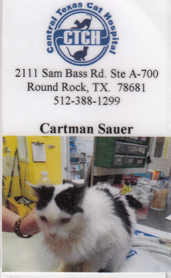 click for larger size