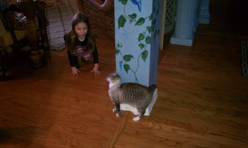 click for larger size