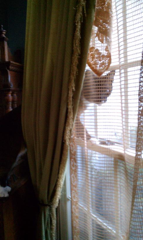 click for larger size