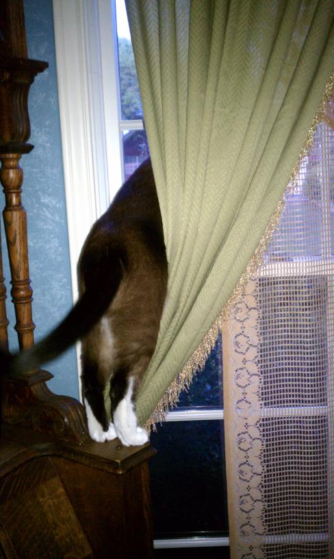 click for larger size