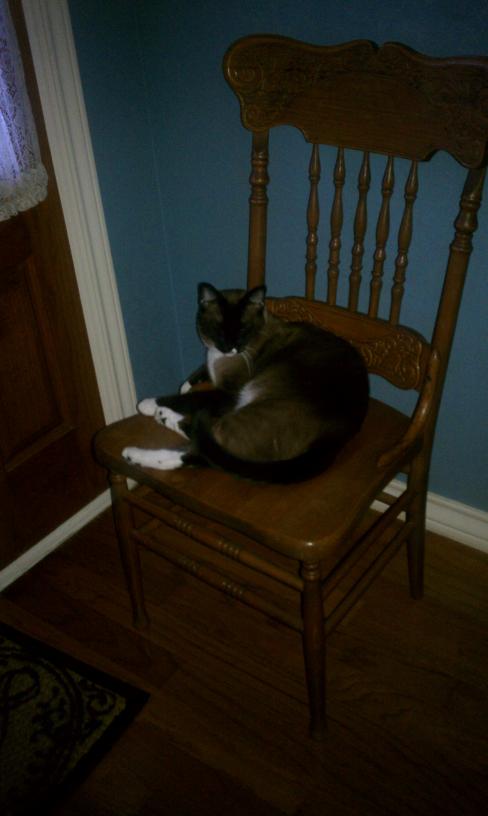 click for larger size